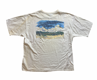 Distressed T-shirt (x-large)