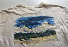 Load image into Gallery viewer, Distressed T-shirt (x-large)