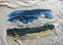 Load image into Gallery viewer, Distressed T-shirt (x-large)