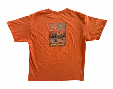 Graphic T-Shirt (large)