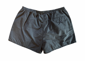 Vintage Shorts (large)