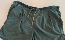 Load image into Gallery viewer, Pleated Vintage Shorts (x-large)