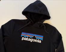 Load image into Gallery viewer, Logo Hoodie (medium)