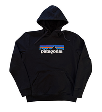 Load image into Gallery viewer, Logo Hoodie (medium)