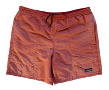 Load image into Gallery viewer, Sunfaded Vintage Shorts (large)