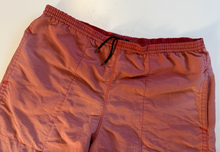 Load image into Gallery viewer, Sunfaded Vintage Shorts (large)