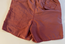 Load image into Gallery viewer, Sunfaded Vintage Shorts (large)