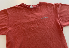 Load image into Gallery viewer, Vintage Logo T-Shirt (large)