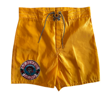 Load image into Gallery viewer, Bertha Shorts (28-29)